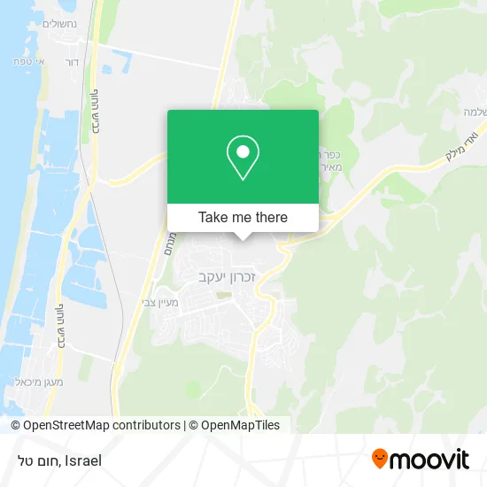 Карта חום טל