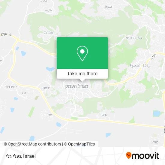 Карта נעלי גלי