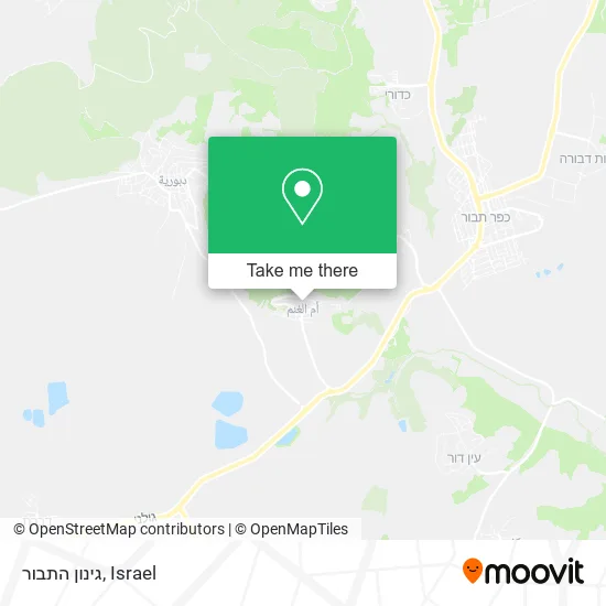 Карта גינון התבור