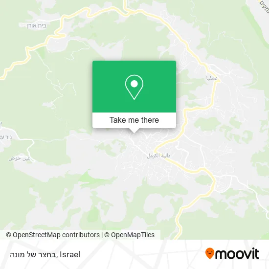 Карта בחצר של מונה