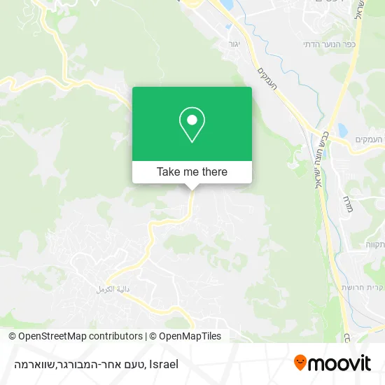 Карта טעם אחר-המבורגר,שווארמה