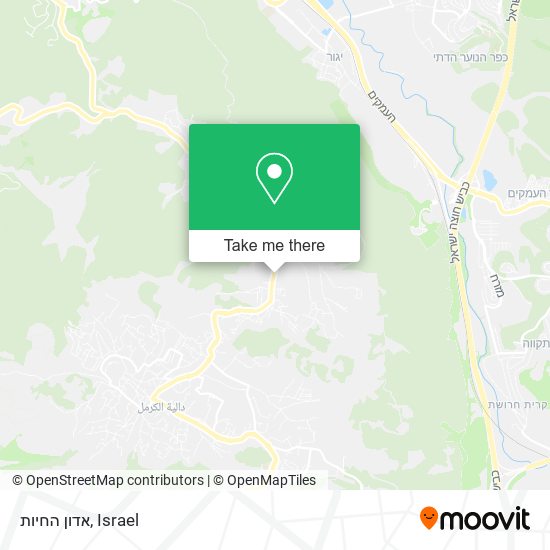 אדון החיות map