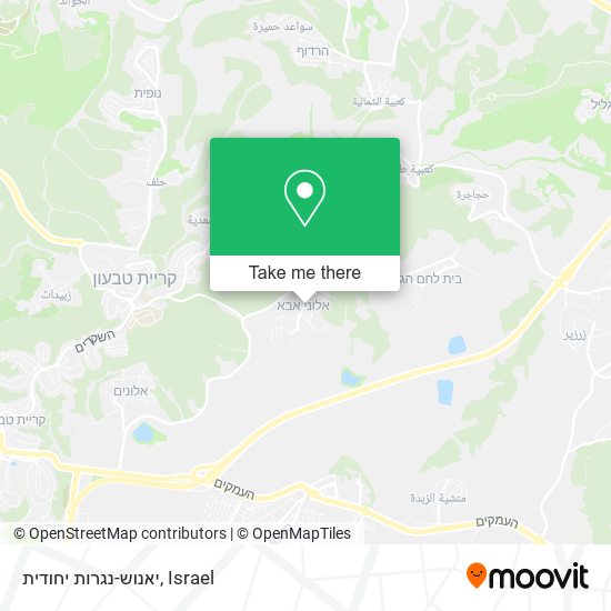 יאנוש-נגרות יחודית map