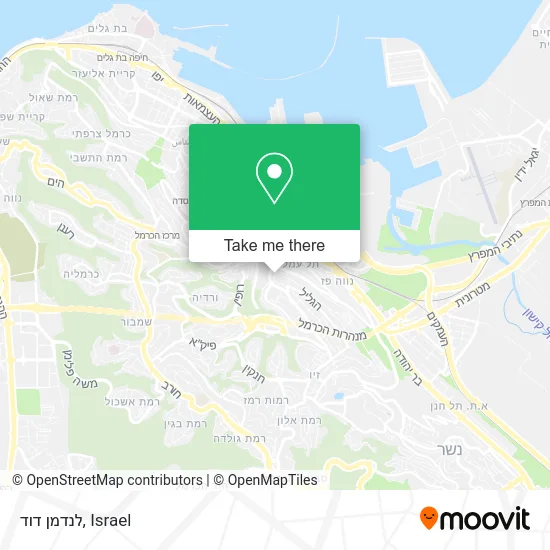 Карта לנדמן דוד