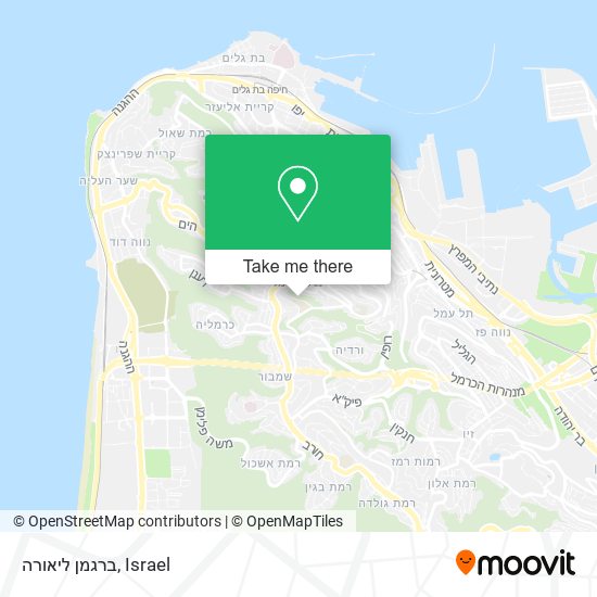 ברגמן ליאורה map