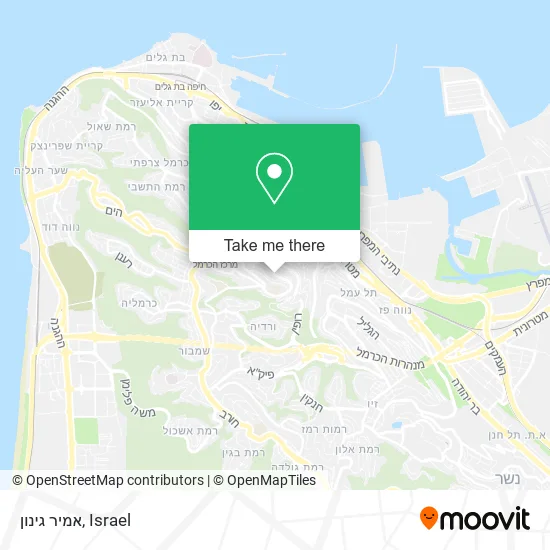 Карта אמיר גינון