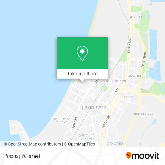 Карта לוין מיכאל