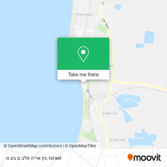כץ אריה פלב ם בע מ map