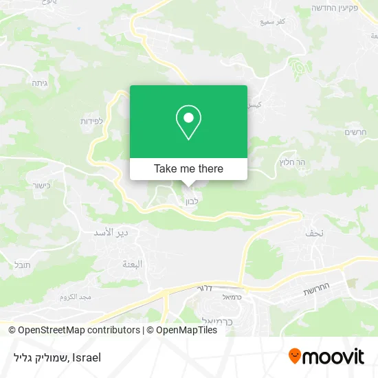 Карта שמוליק גליל