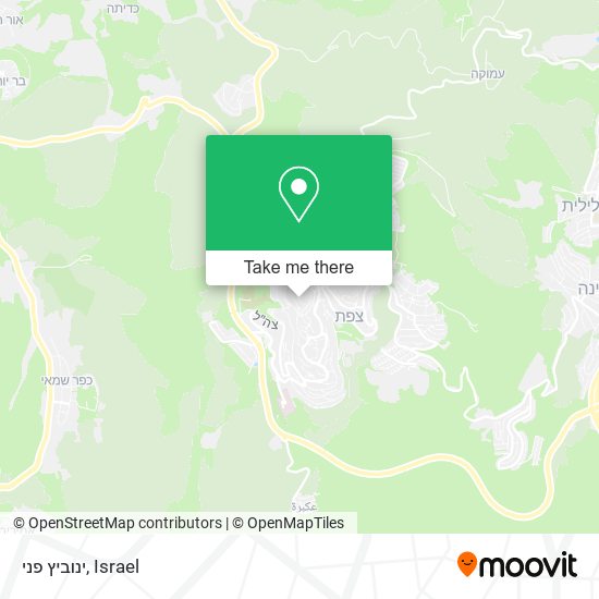 ינוביץ פני map