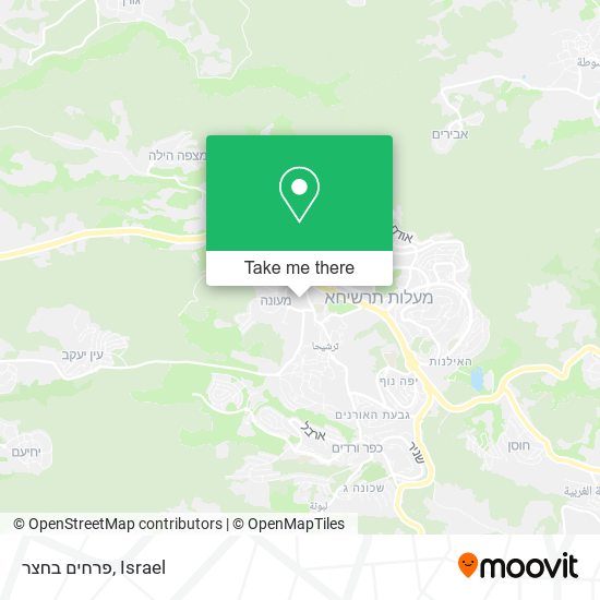 פרחים בחצר map