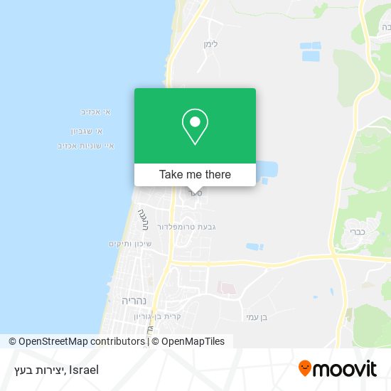 יצירות בעץ map