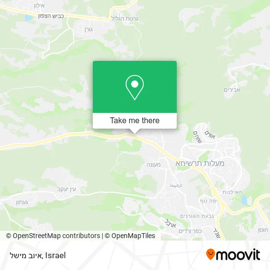 Карта איוב מישל