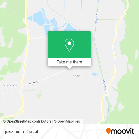 תדמור אמנון map