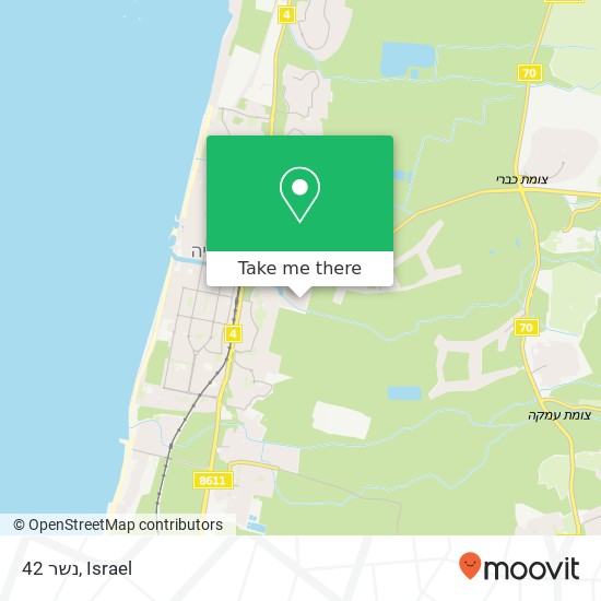 נשר 42 map