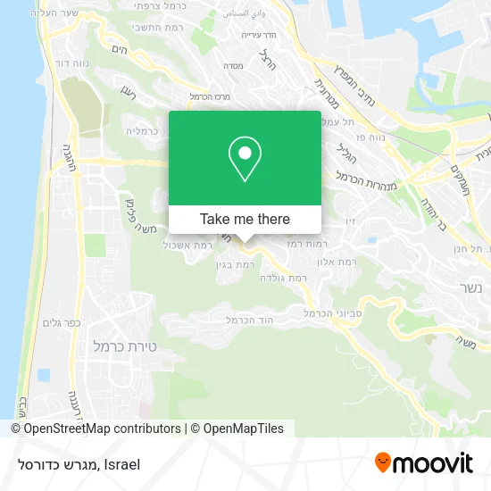 Карта מגרש כדורסל