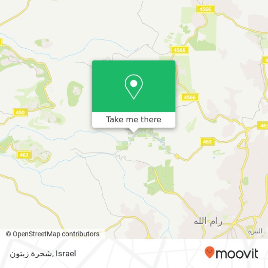 شجرة زيتون map