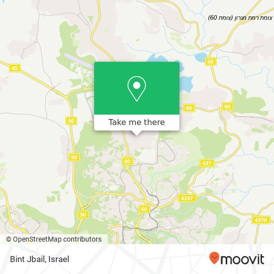Карта Bint Jbail