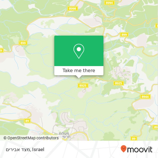 מצד אבירים map