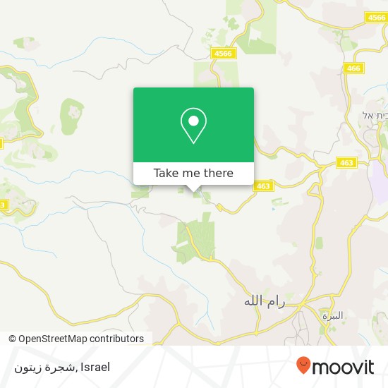 شجرة زيتون map