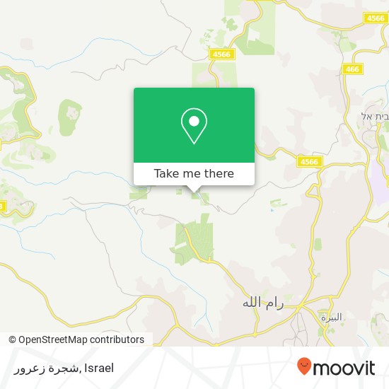 شجرة زعرور map