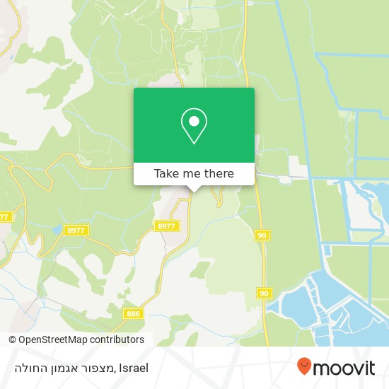 מצפור אגמון החולה map