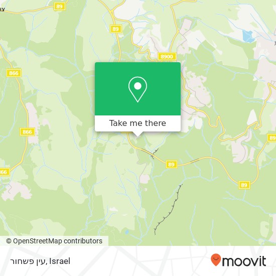 עין פשחור map