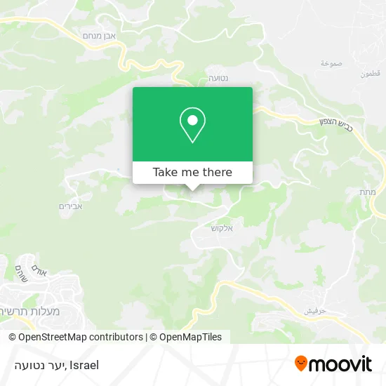 Карта יער נטועה
