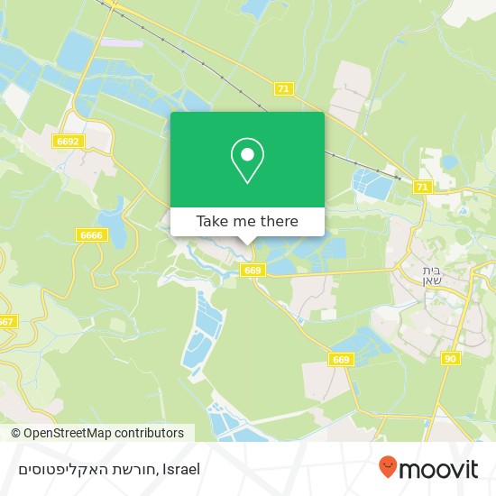 חורשת האקליפטוסים map