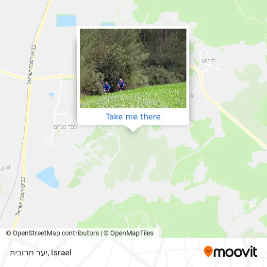 Карта יער חרובית