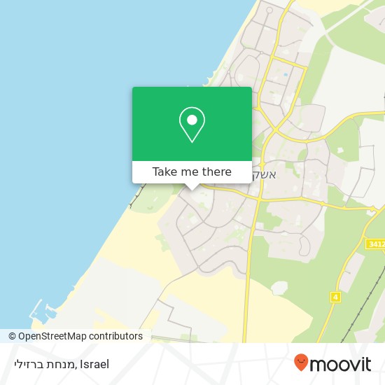 מנחת ברזילי map