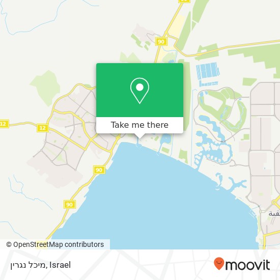 מיכל נגרין map