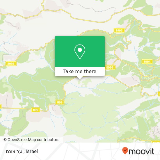 יער צונם map