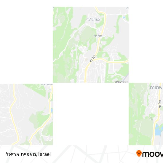 Карта מאפיית אריאל