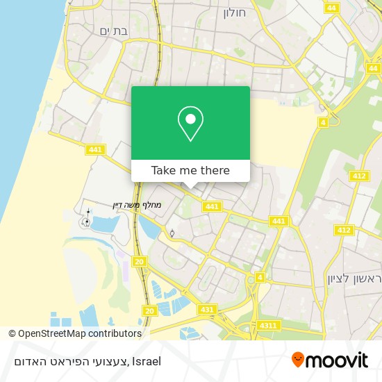 צעצועי הפיראט האדום map