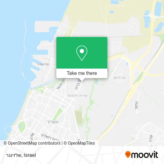Карта שלזינגר