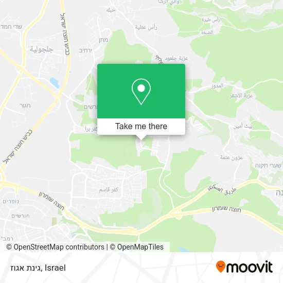 Карта גינת אגוז