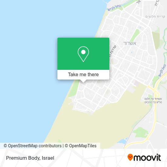 Premium Body map