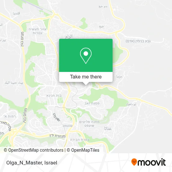 Olga_N_Master map