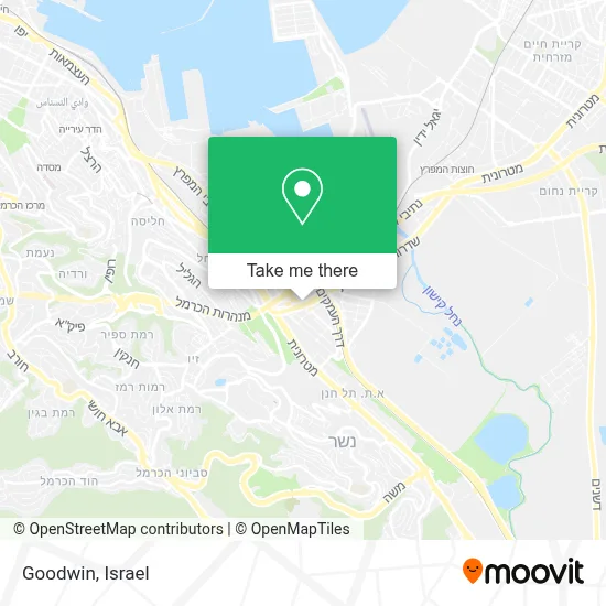 Goodwin map