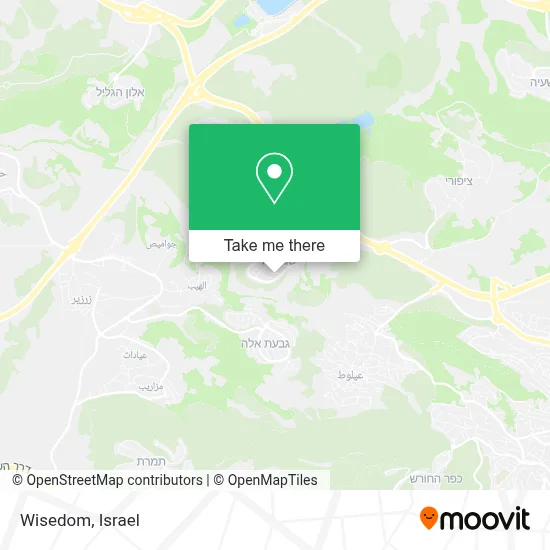 Wisedom map