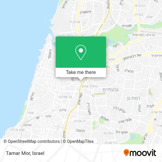 Tamar Mor map