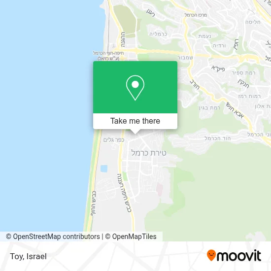Toy map