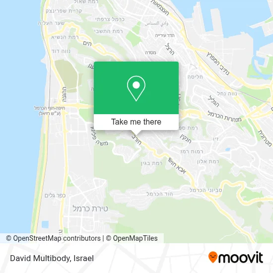 David Multibody map