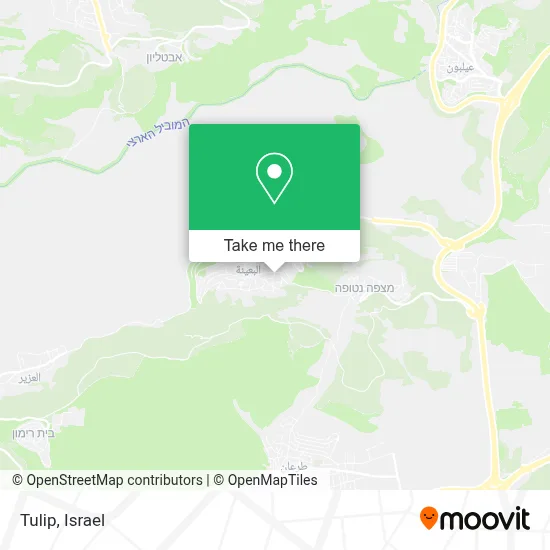 Tulip map
