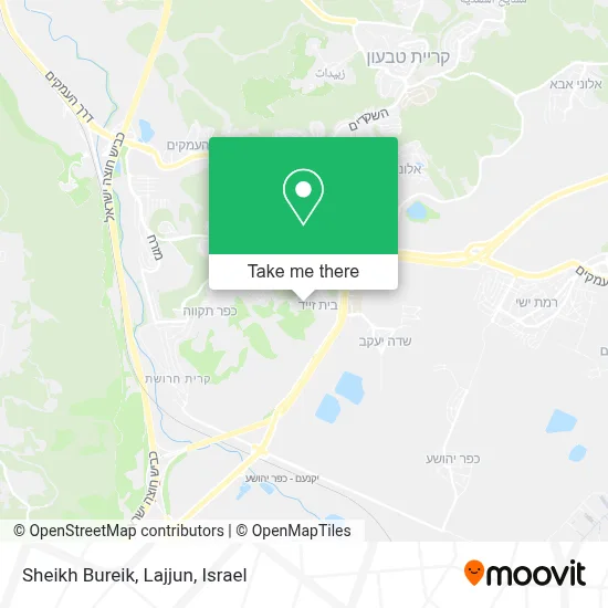 Sheikh Bureik, Lajjun map