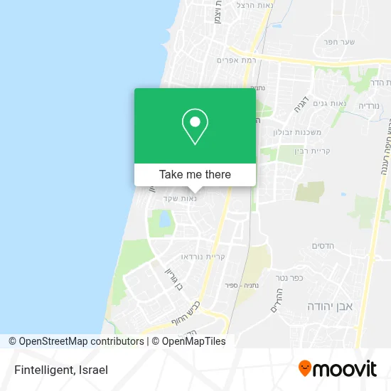 Fintelligent map
