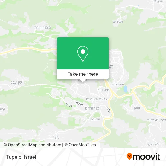 Tupelo map
