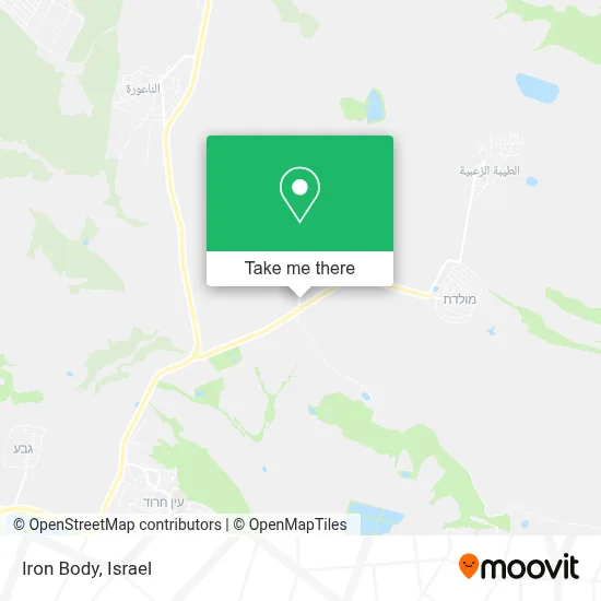 Iron Body map