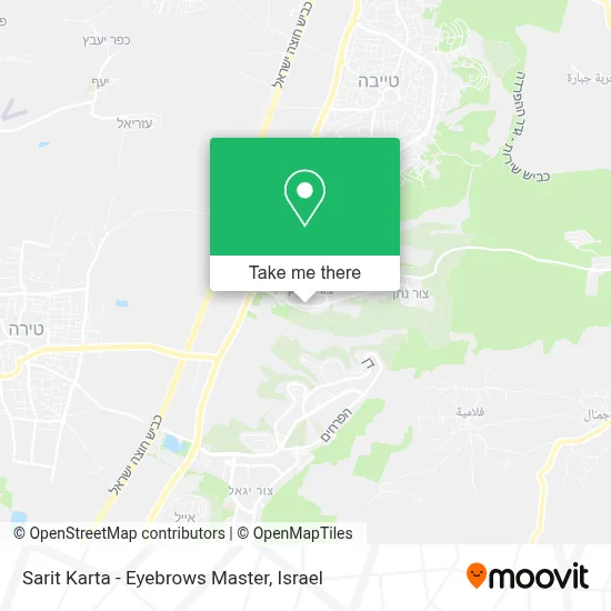 Sarit Karta - Eyebrows Master map